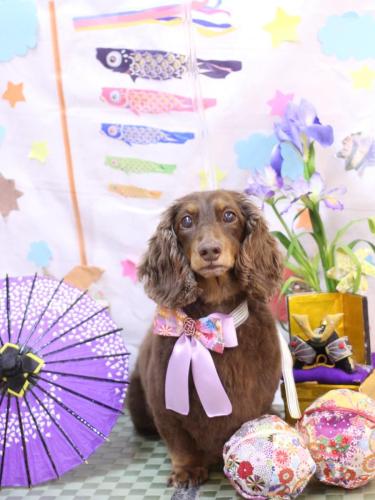 20240502ジョナくん